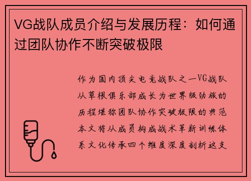 VG战队成员介绍与发展历程：如何通过团队协作不断突破极限