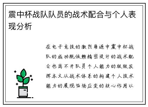 震中杯战队队员的战术配合与个人表现分析